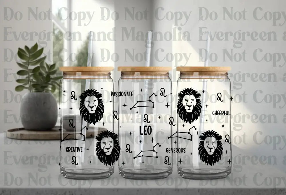 Leo 2