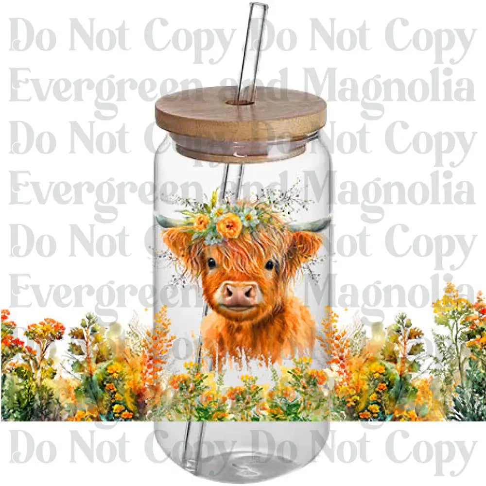 Cow 26
