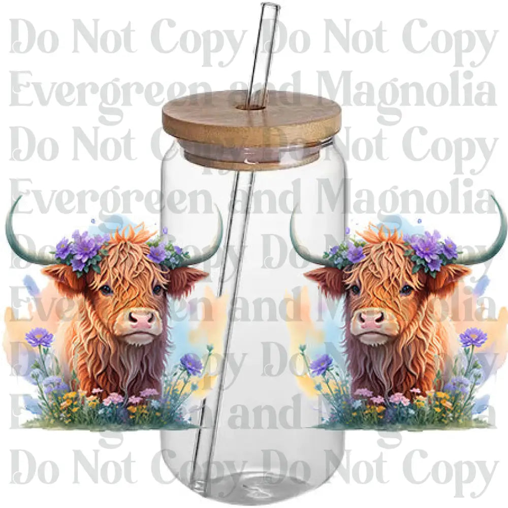 Cow 41