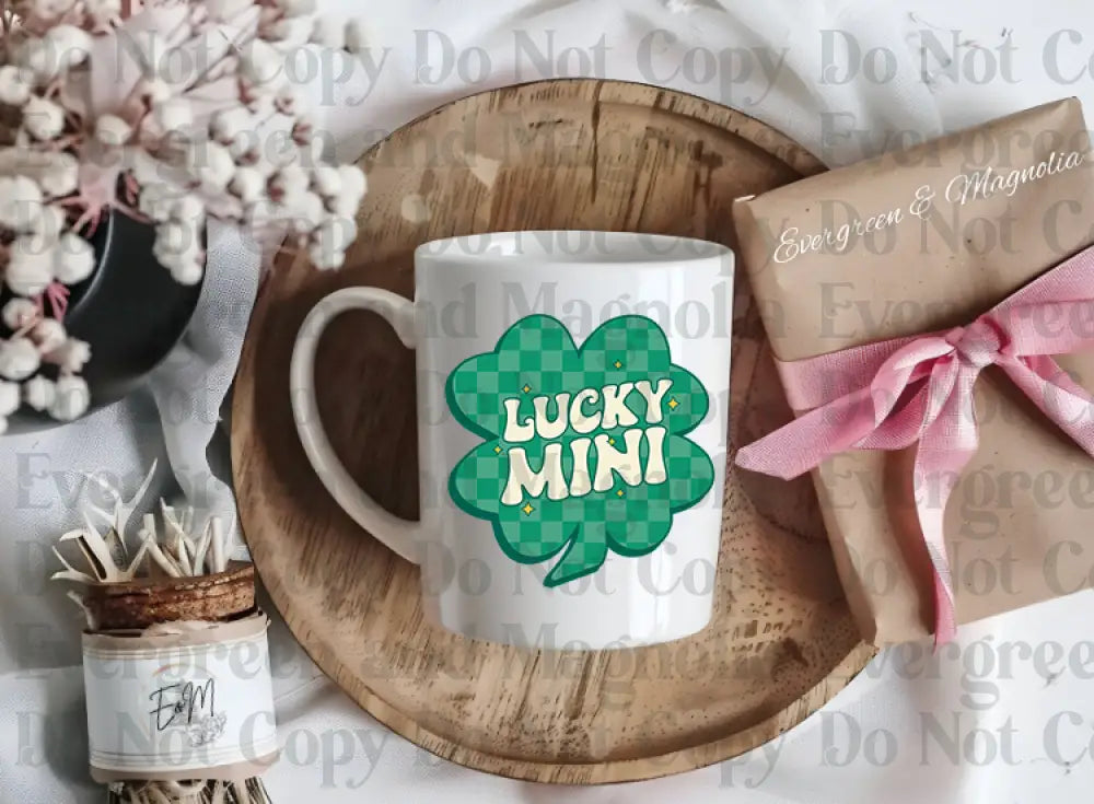 LuckyMini (2)