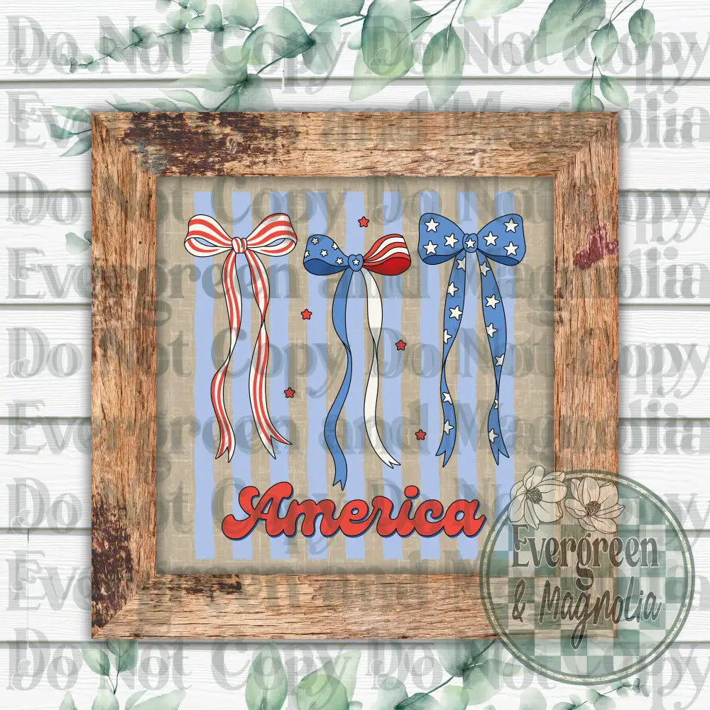 Coquette stripes America