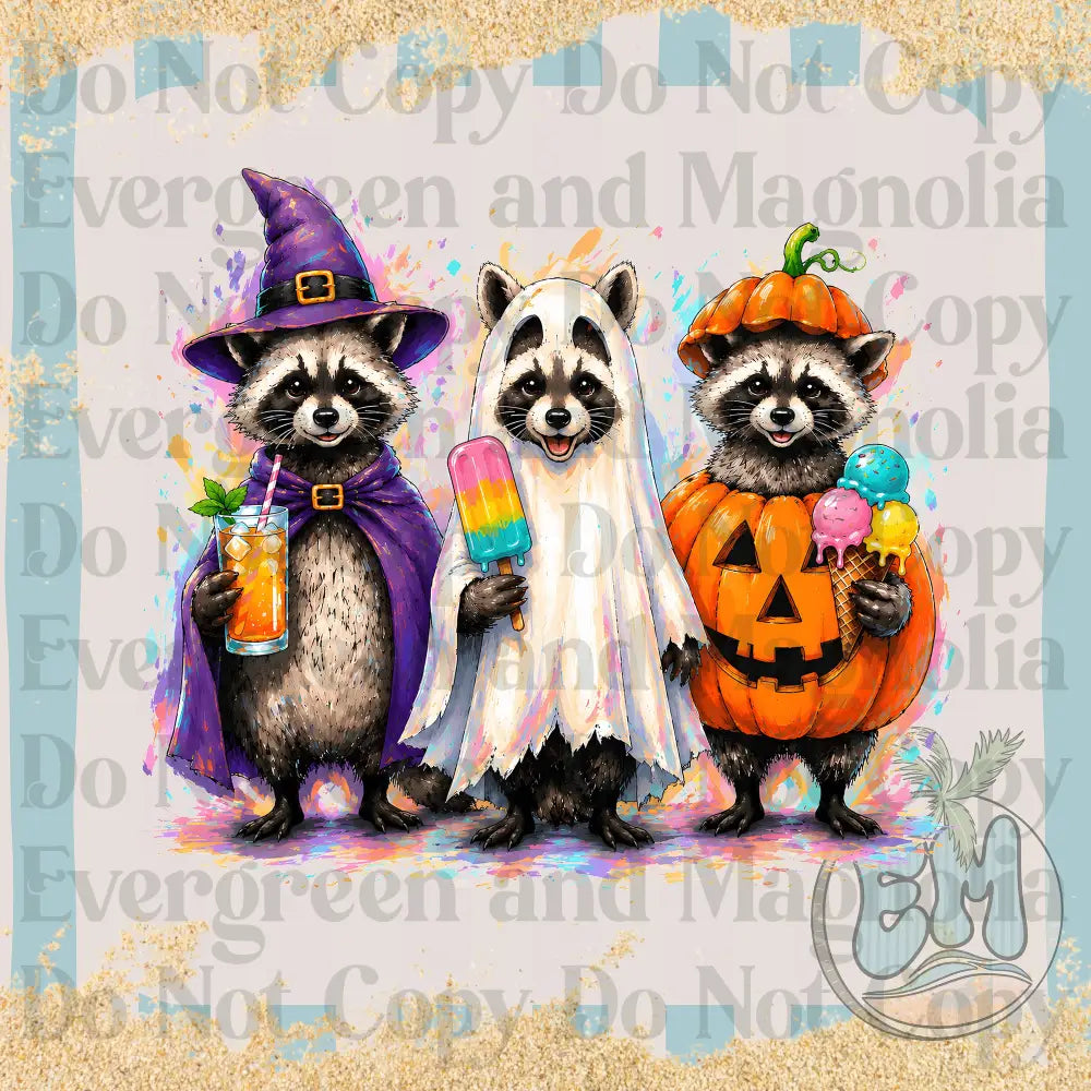 Halloween raccoons