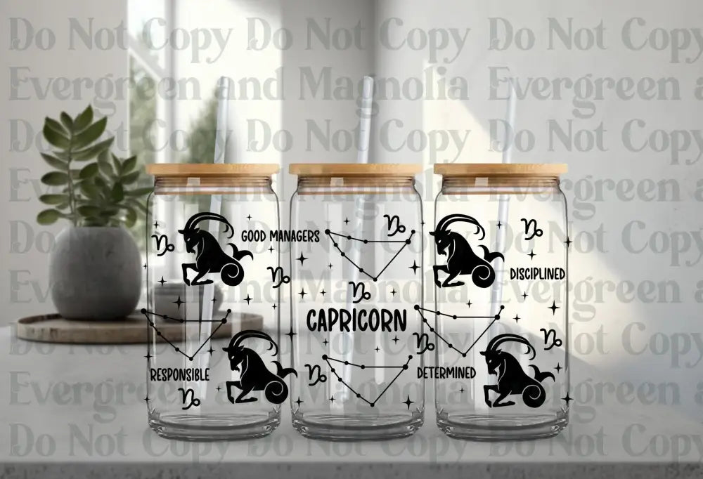 Capricorn 2