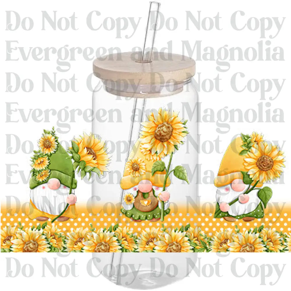 Sunflower 27