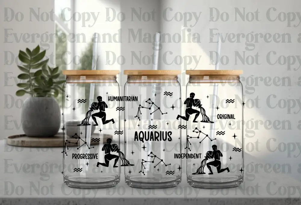 Aquarius 2