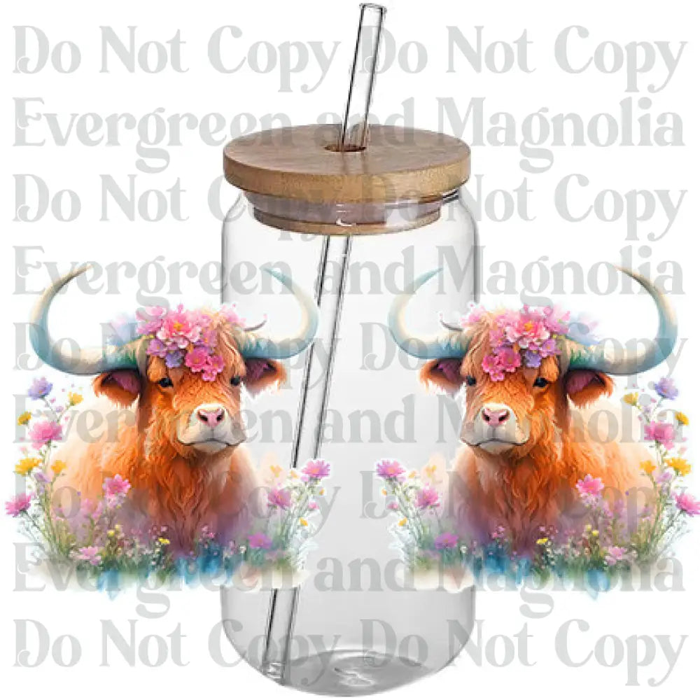 Cow 37