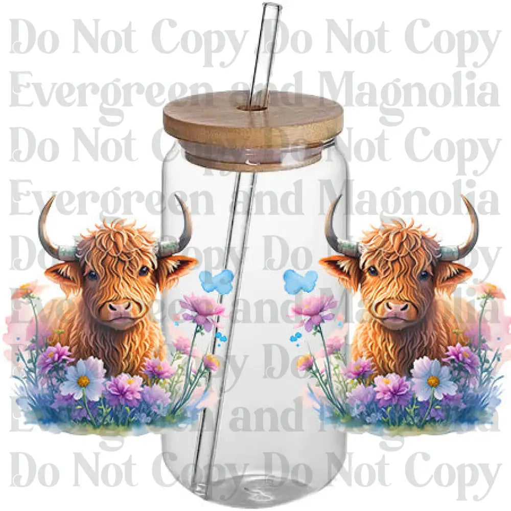 Cow 43