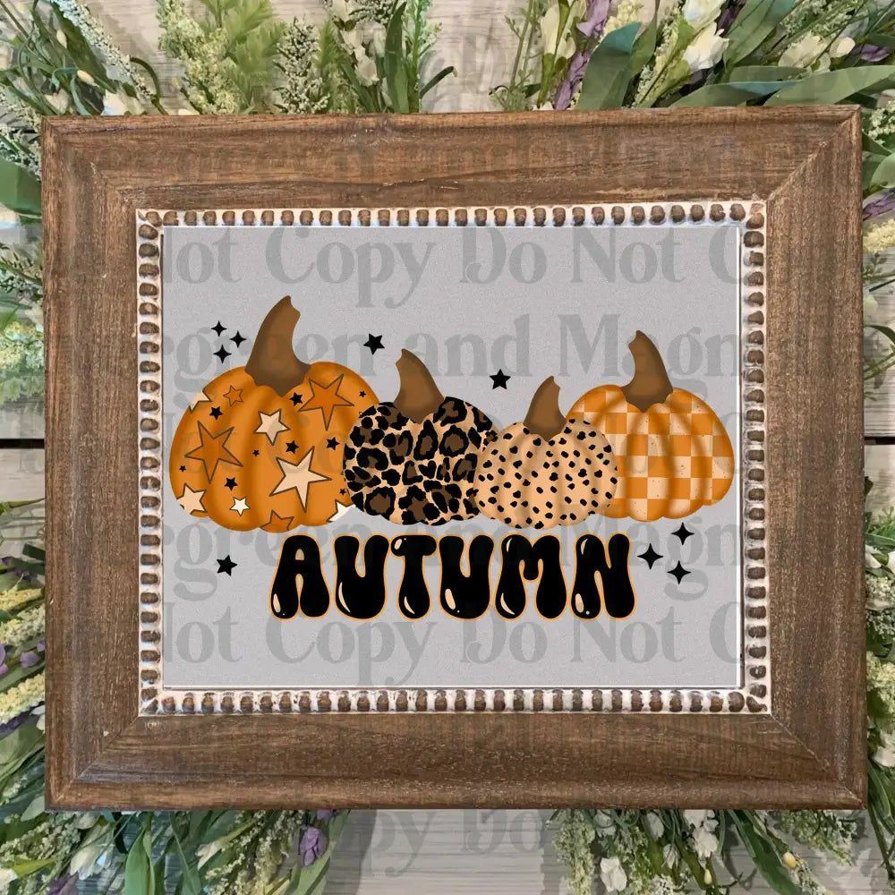 Autumn_Pumpkins