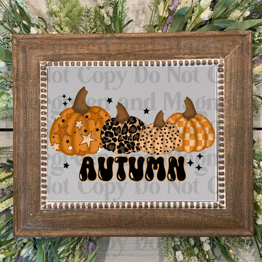 Autumn_Pumpkins