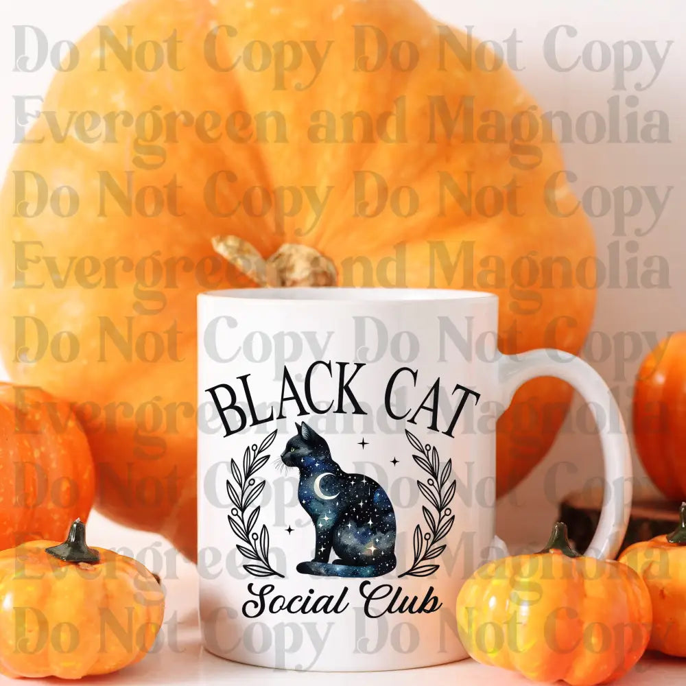 Black Cat Social Club 1