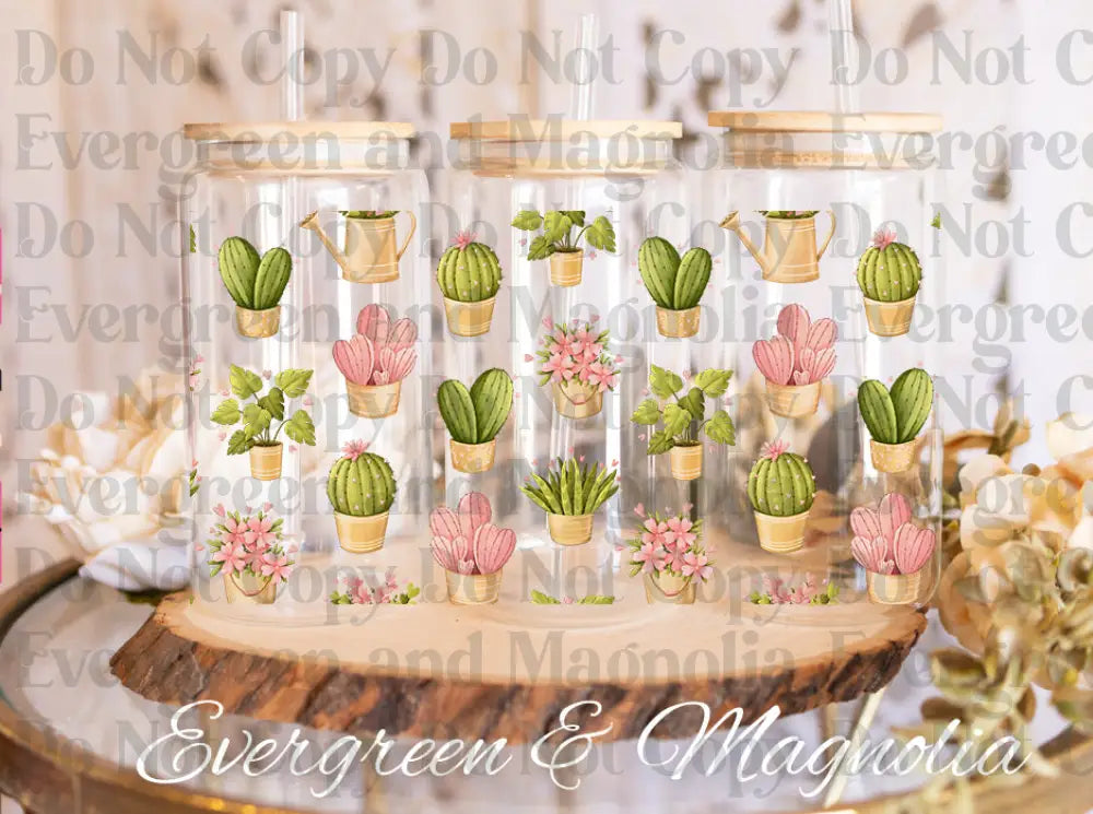 Cactus potted