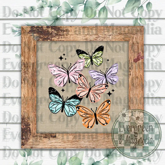 Colorful butterflies