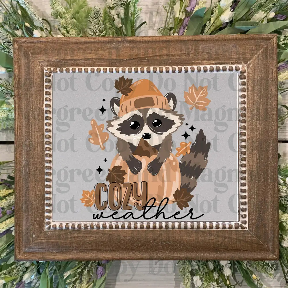 Cozy_Weather_Racoon