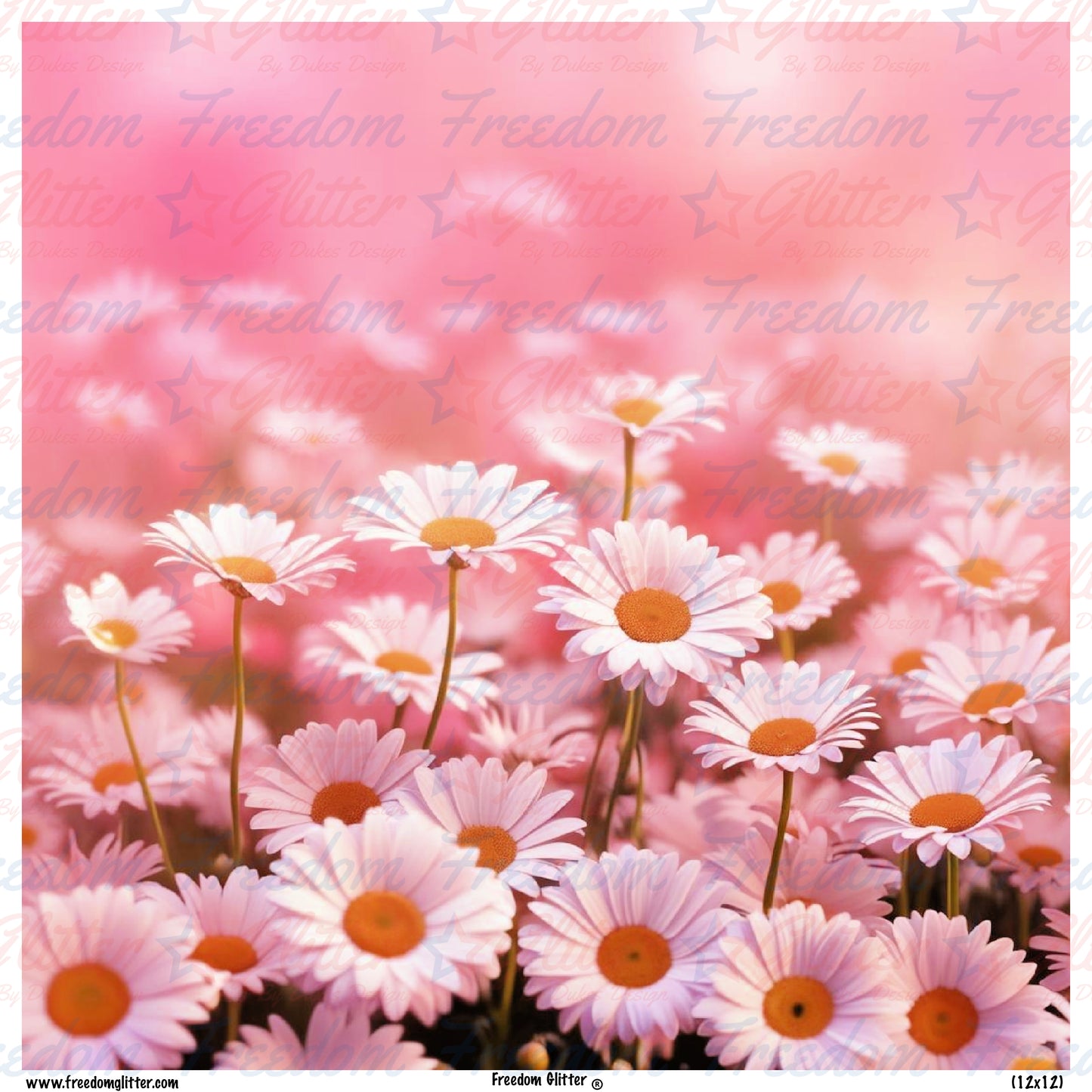 Daisies 3 (Printed Vinyl)