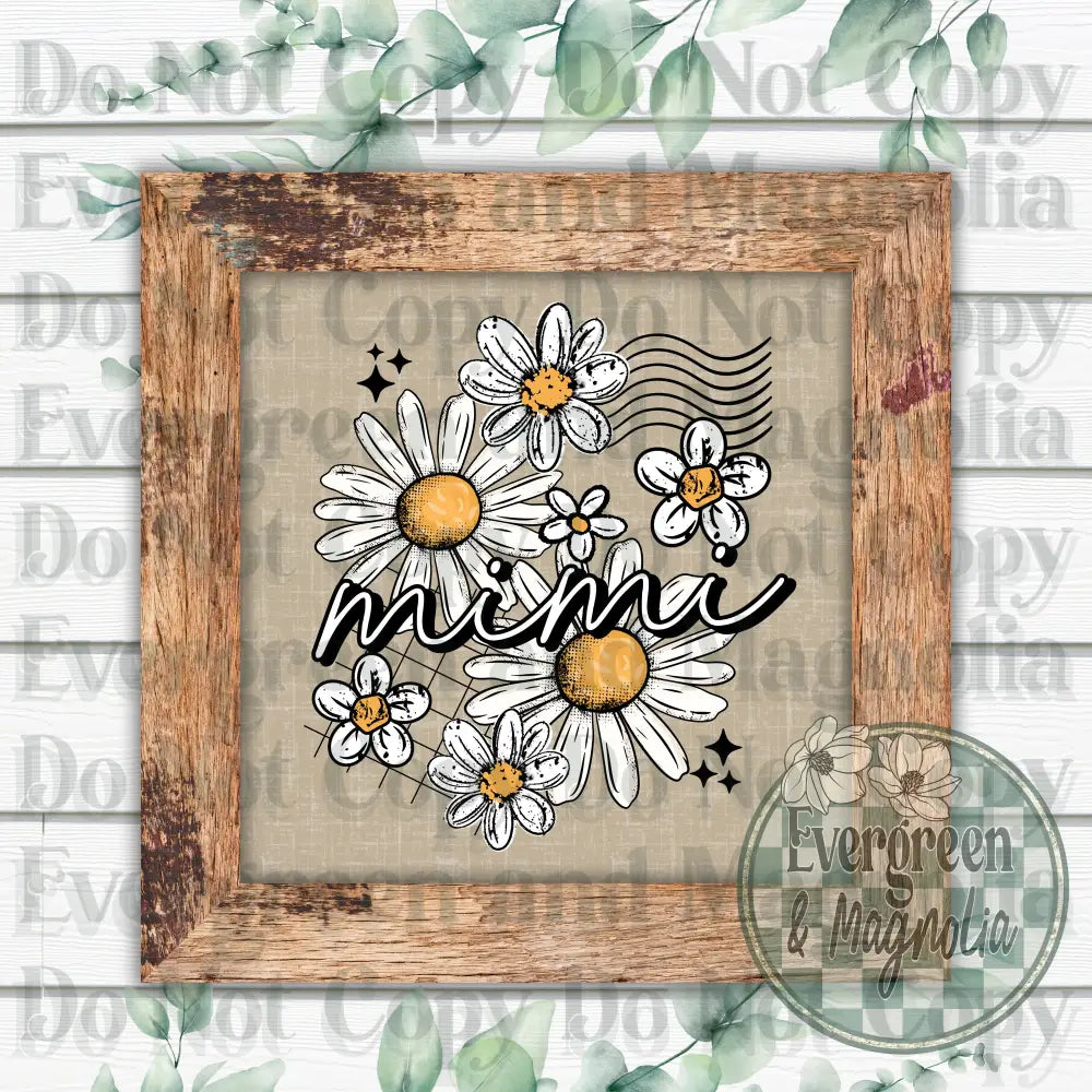 Daisy mimi