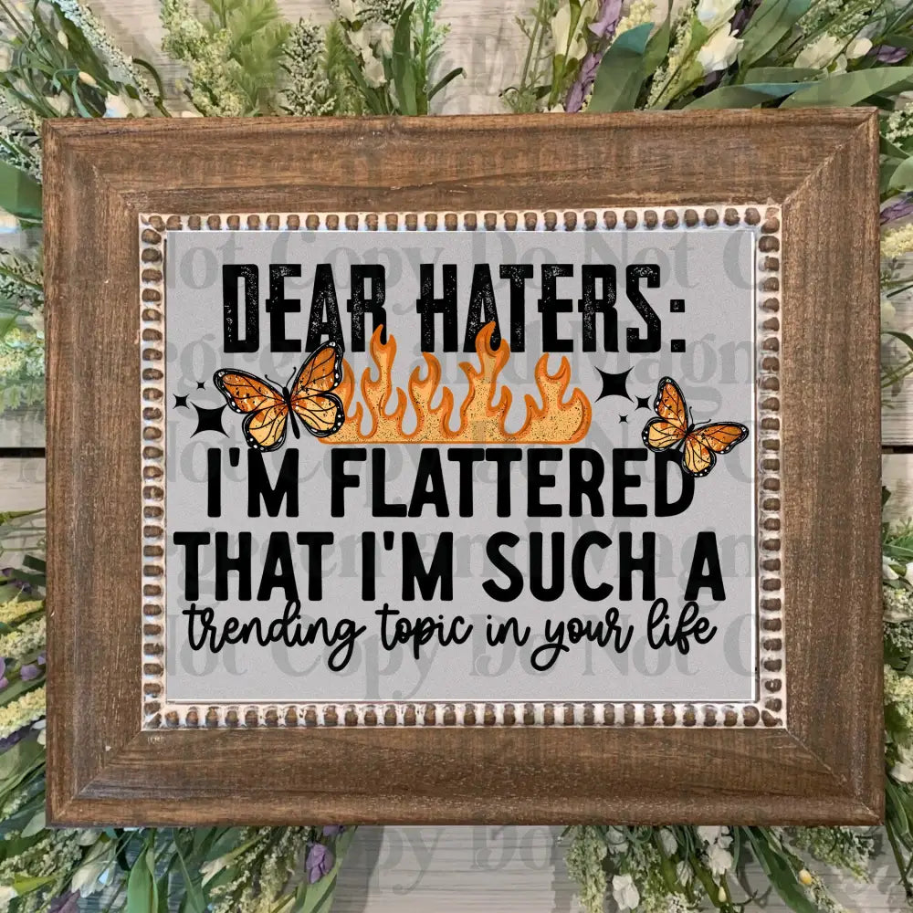 Dear_Haters