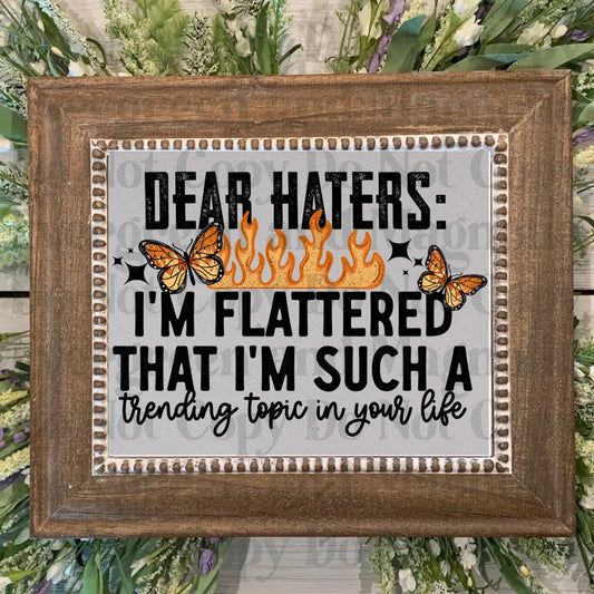 Dear_Haters