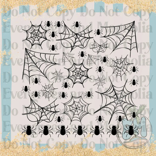 spiders & webs