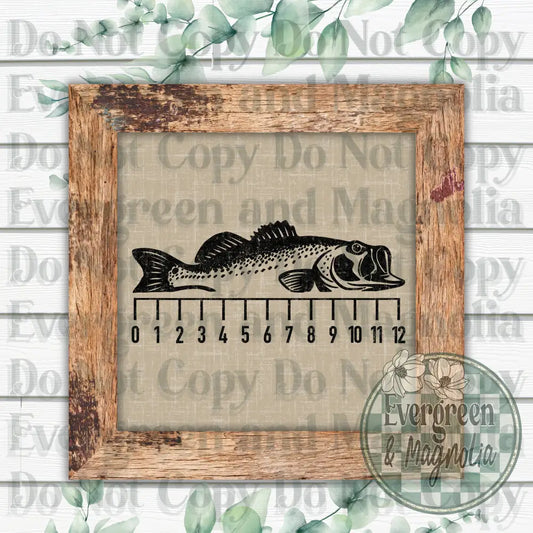 Fish Measure