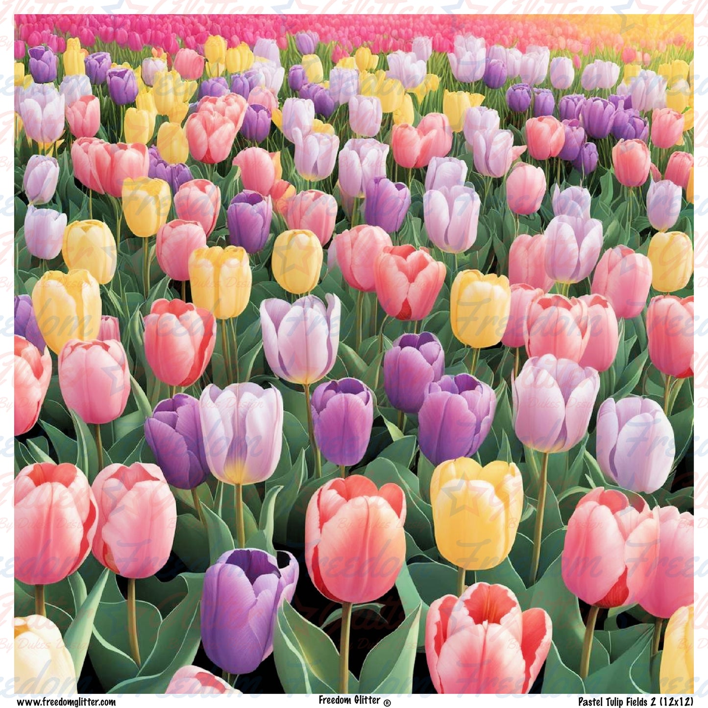 Pastel Tulip Fields 2 (Printed Vinyl)