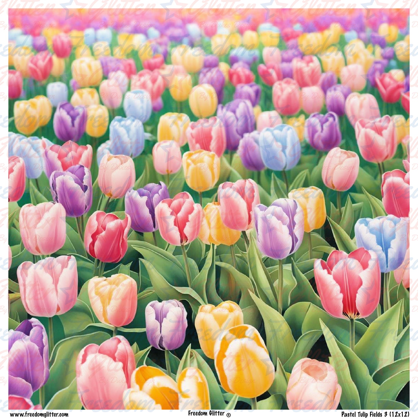 Pastel Tulip Fields 3 (Printed Vinyl)