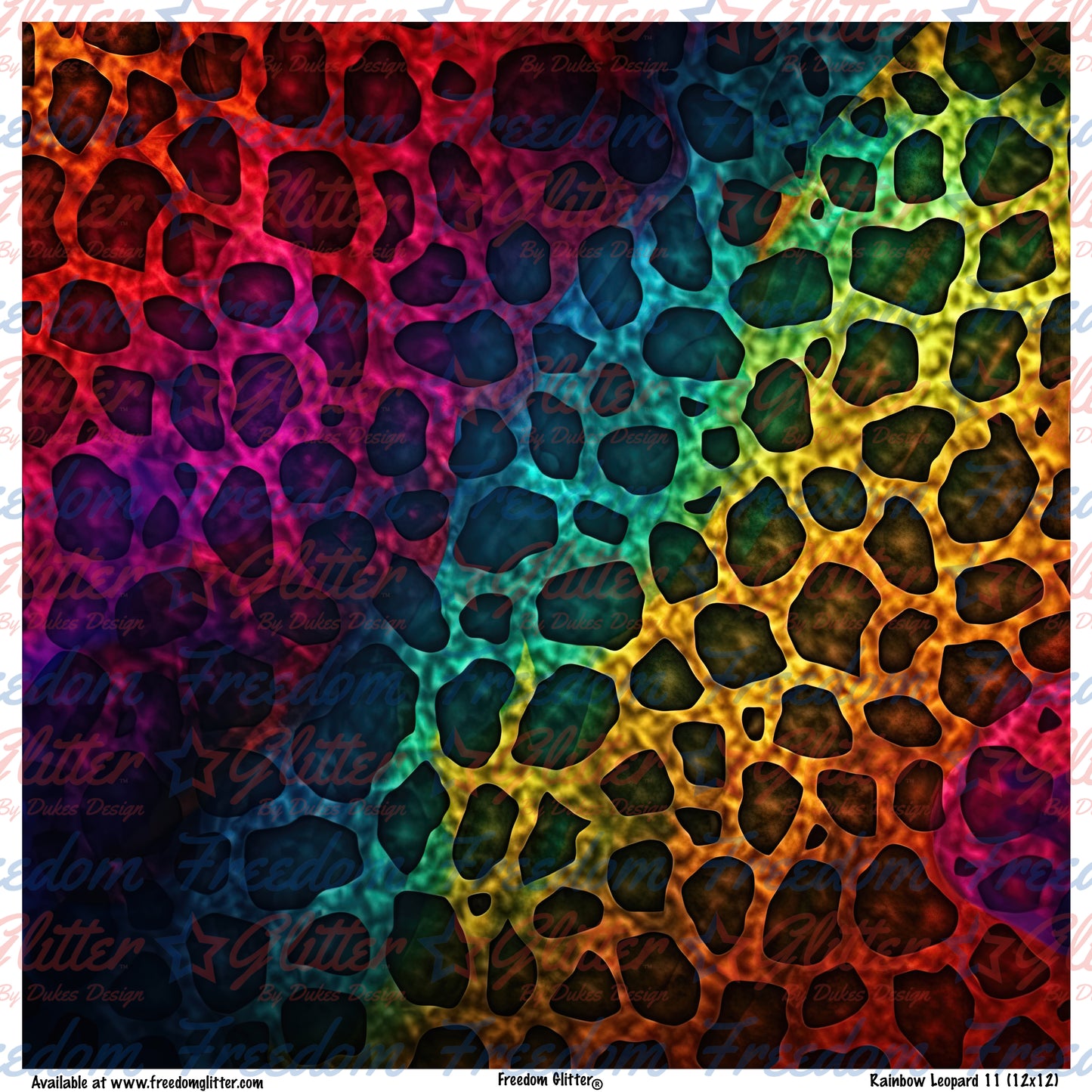 Rainbow Leopard Print 11 (Printed Vinyl)