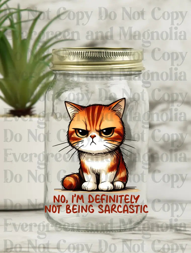 Sassy & Sarcastic 89