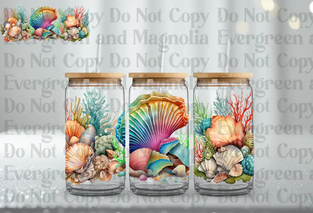 Shells