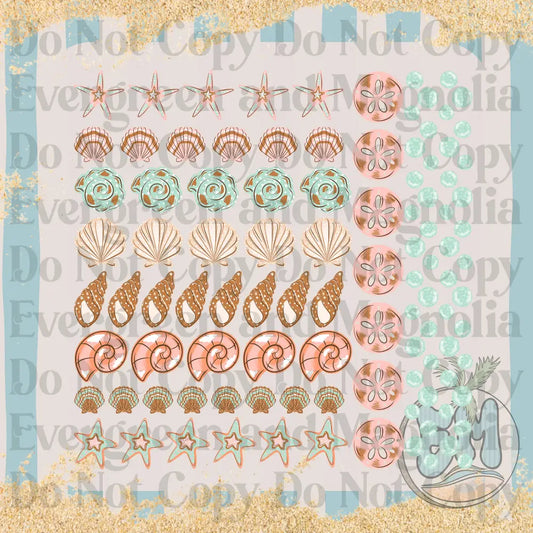 Shells & bubbles