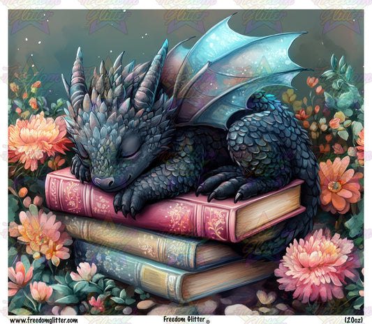 Sleeping Dragon & Books (Printed Vinyl)