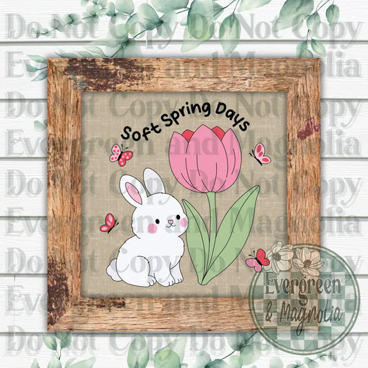 Soft spring days