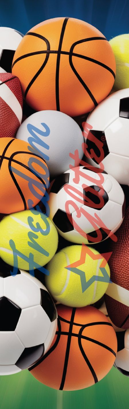 Sports 4 Pen Wrap (Vinyl)