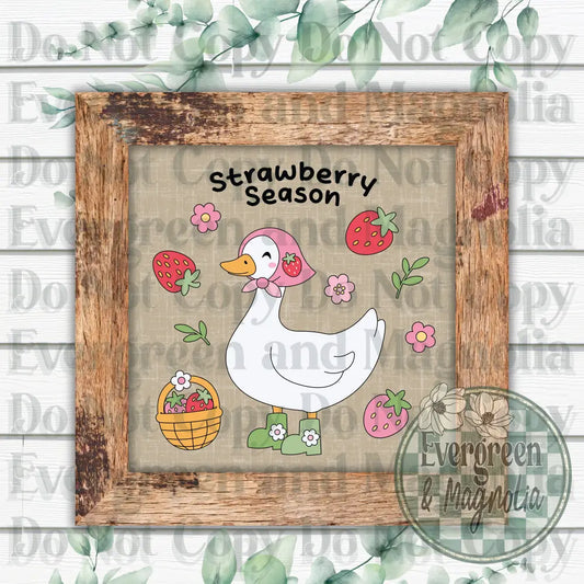 Strawberry season
