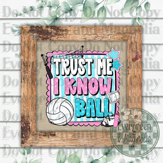 I know ball (volleyball)
