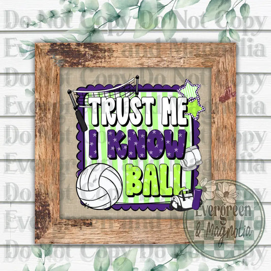 I know ball (volleyball purple)