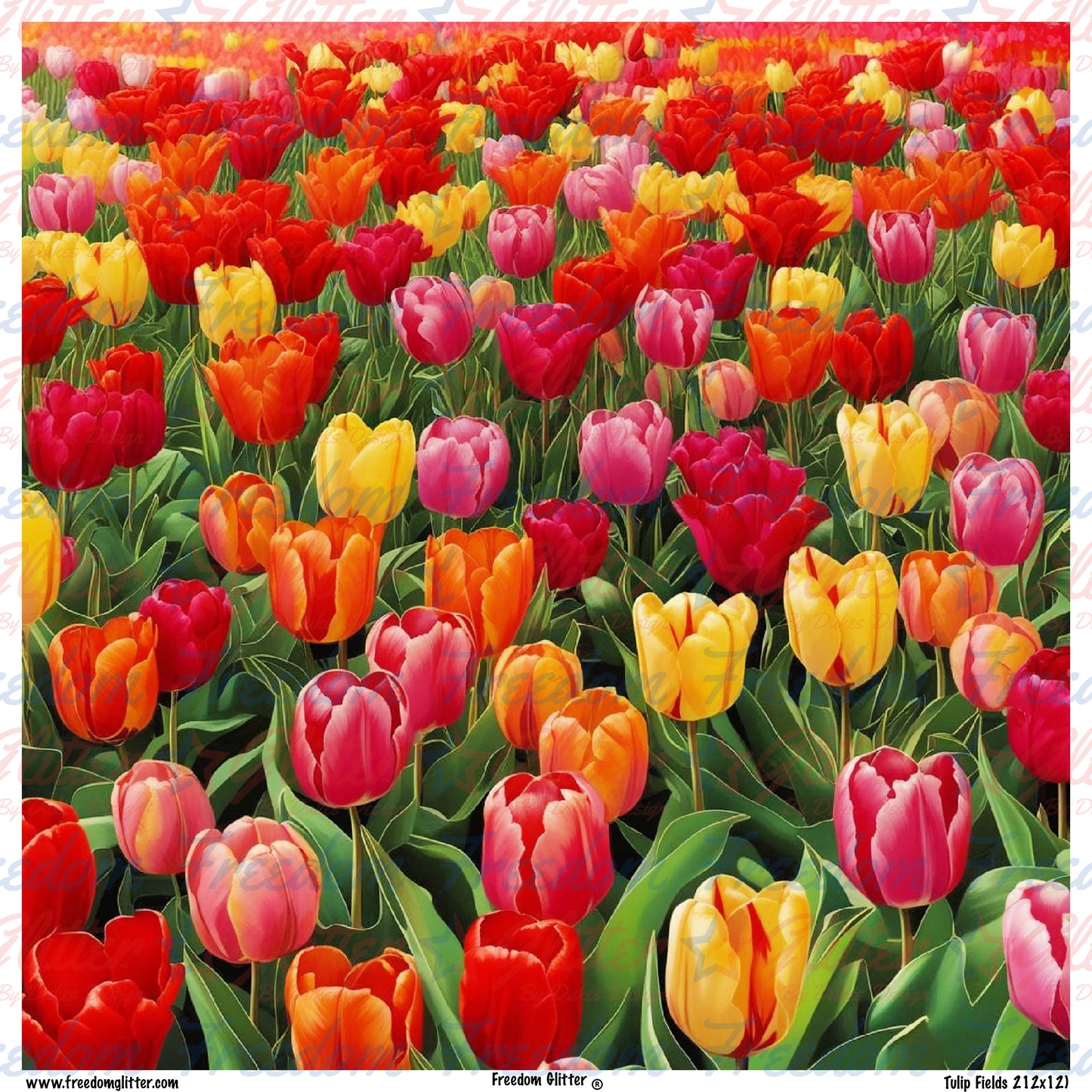 Tulip Fields 2 (Printed Vinyl)