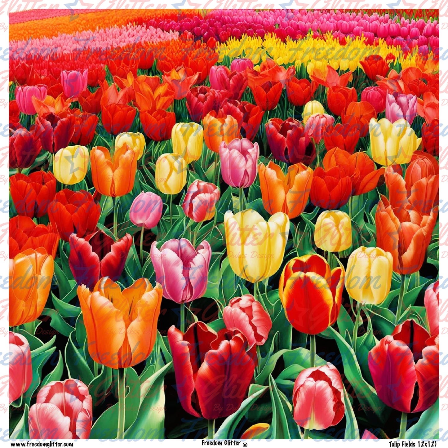 Tulip Fields (Printed Vinyl)