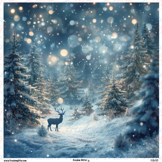 Winter Wonderland 3 (Printed Vinyl)