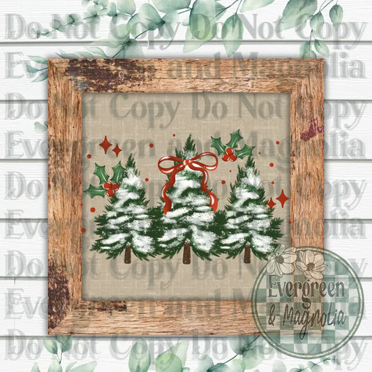 Christmas Trees