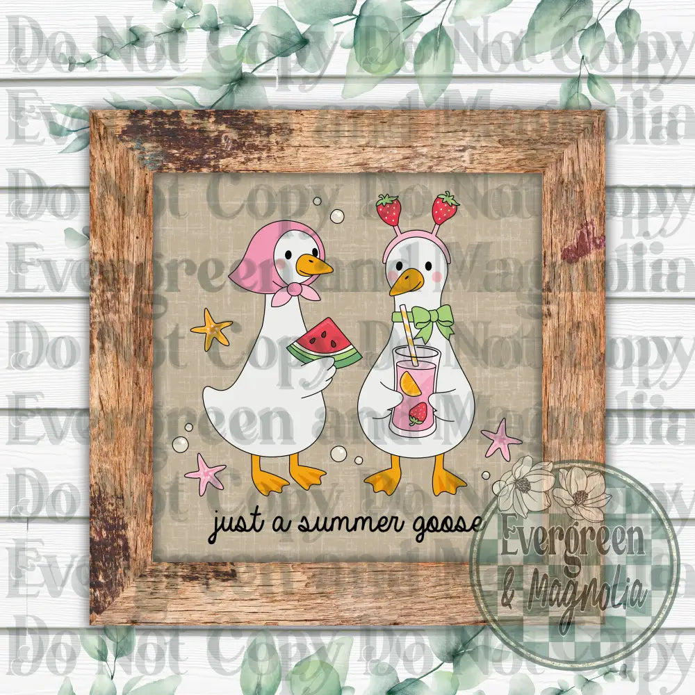 Just a summer goose