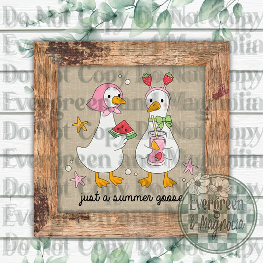 Just a summer goose