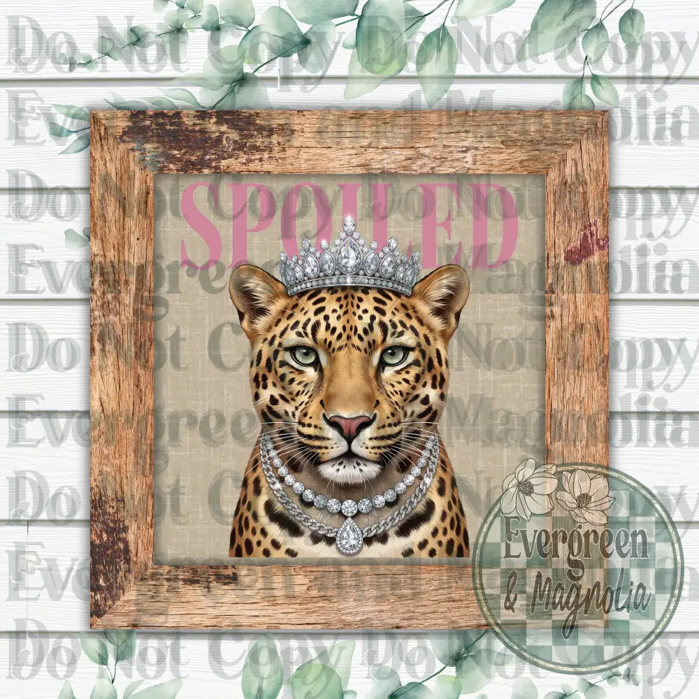 Spoiled leopard