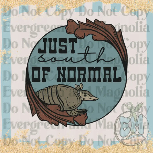 South of normal