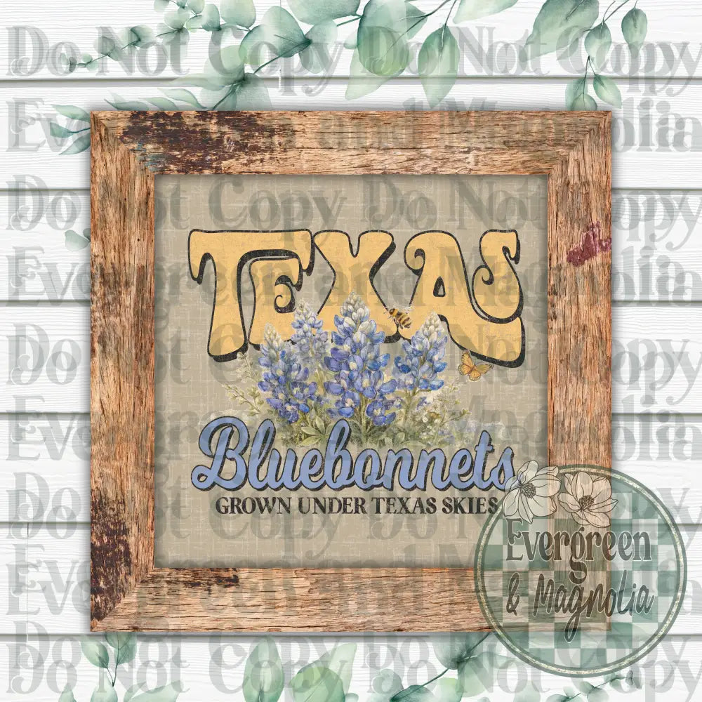 Texas bluebonnets